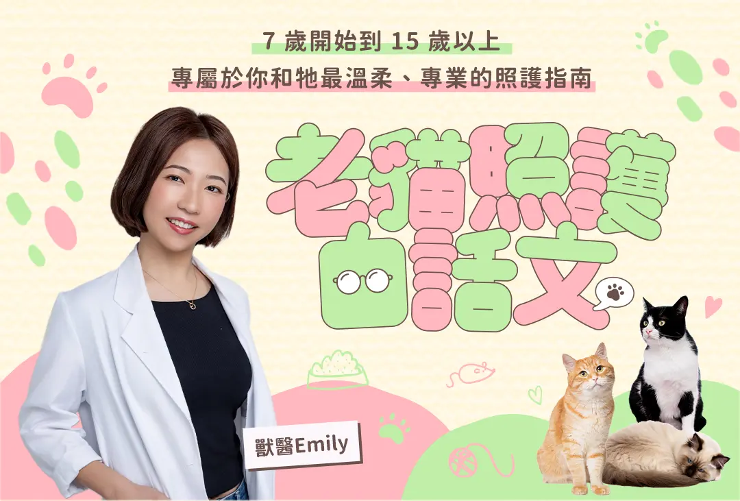 老貓照護白話文-課程頁面_01.jpg 老貓照護白話文-課程頁面_01.jpg