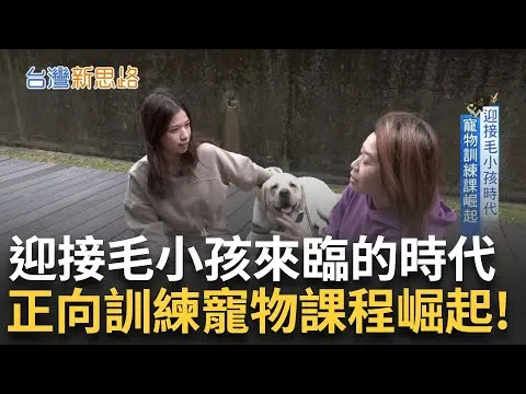 三立 iNEWS 訓練師羊桃報導
