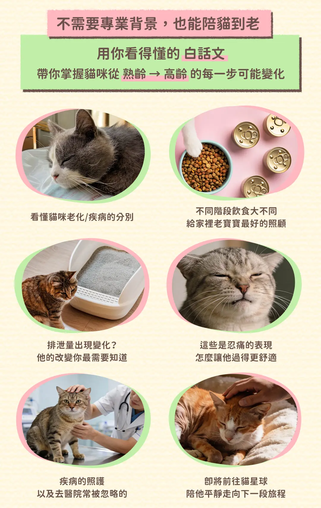 老貓照護白話文-課程頁面_06.jpg 老貓照護白話文-課程頁面_06.jpg