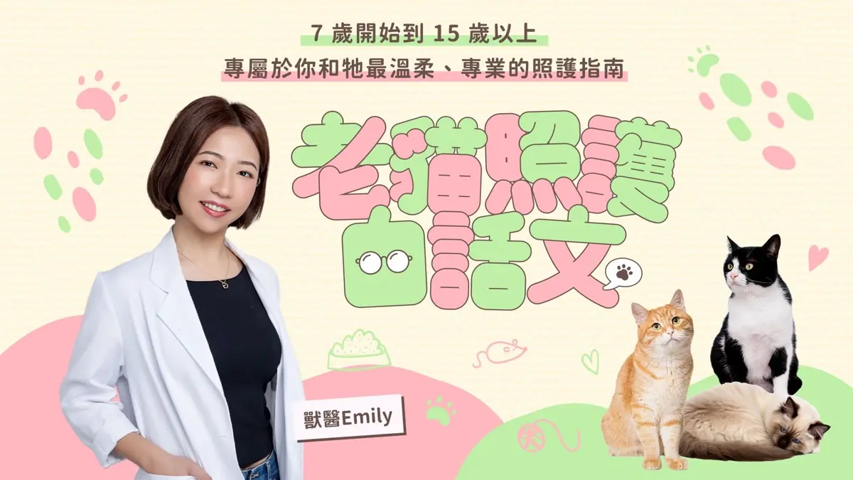 老貓照護白話文課程主視覺
