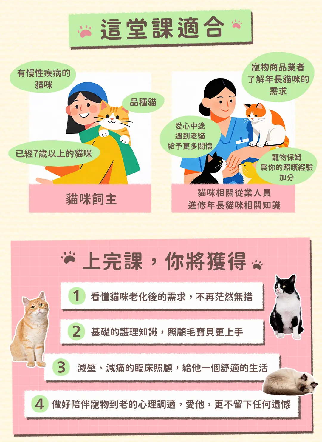 老貓照護白話文-課程頁面_07.jpg 老貓照護白話文-課程頁面_07.jpg