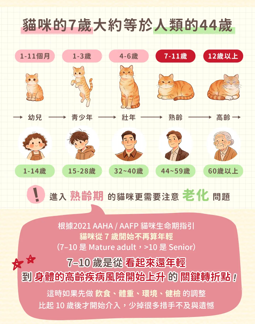 老貓照護白話文-課程頁面_03.jpg 老貓照護白話文-課程頁面_03.jpg