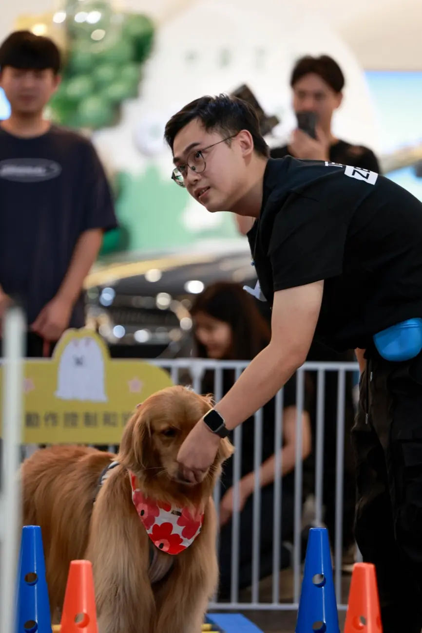 ZEN&nbsp;PET 寵物友善活動，訓練師帶黃金獵犬做敏捷體驗