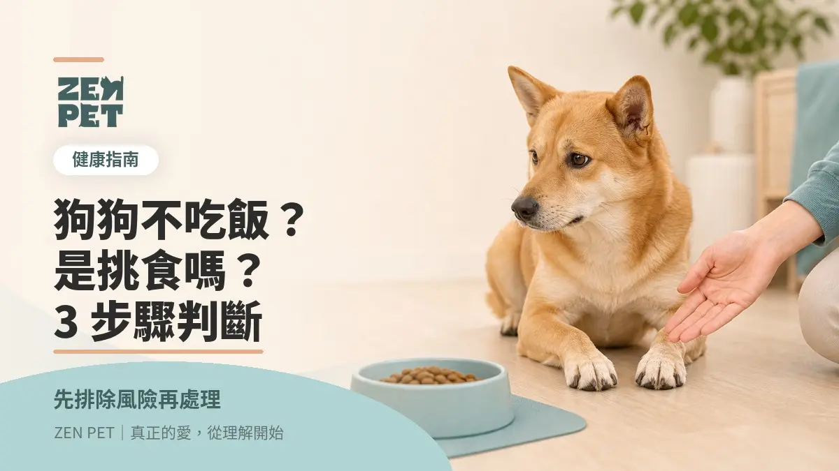 狗狗突然不吃飯？