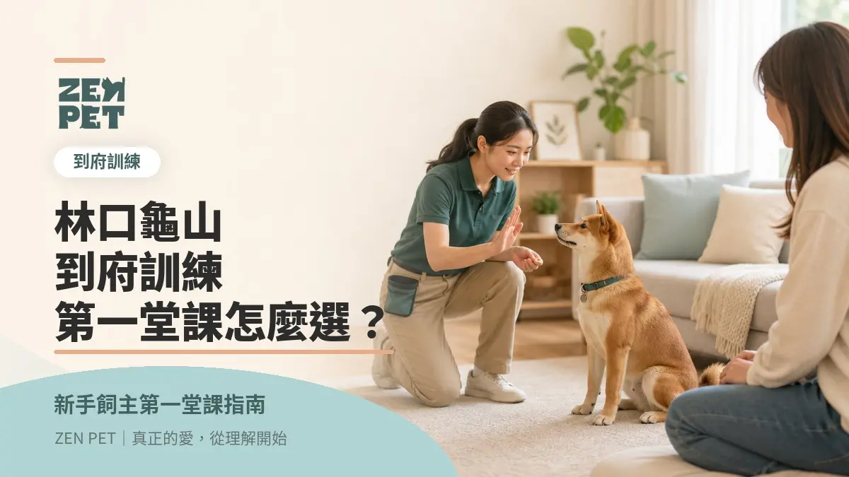 林口龜山到府狗狗訓練師推薦