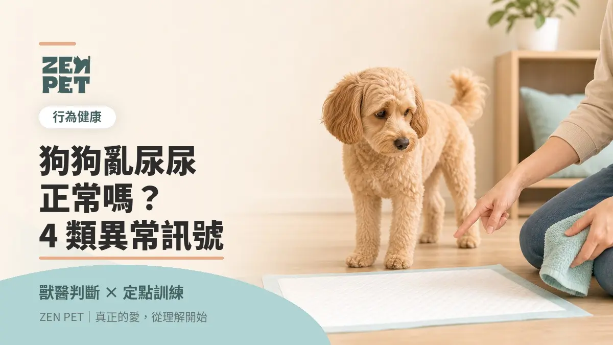 狗狗亂尿尿正常嗎？