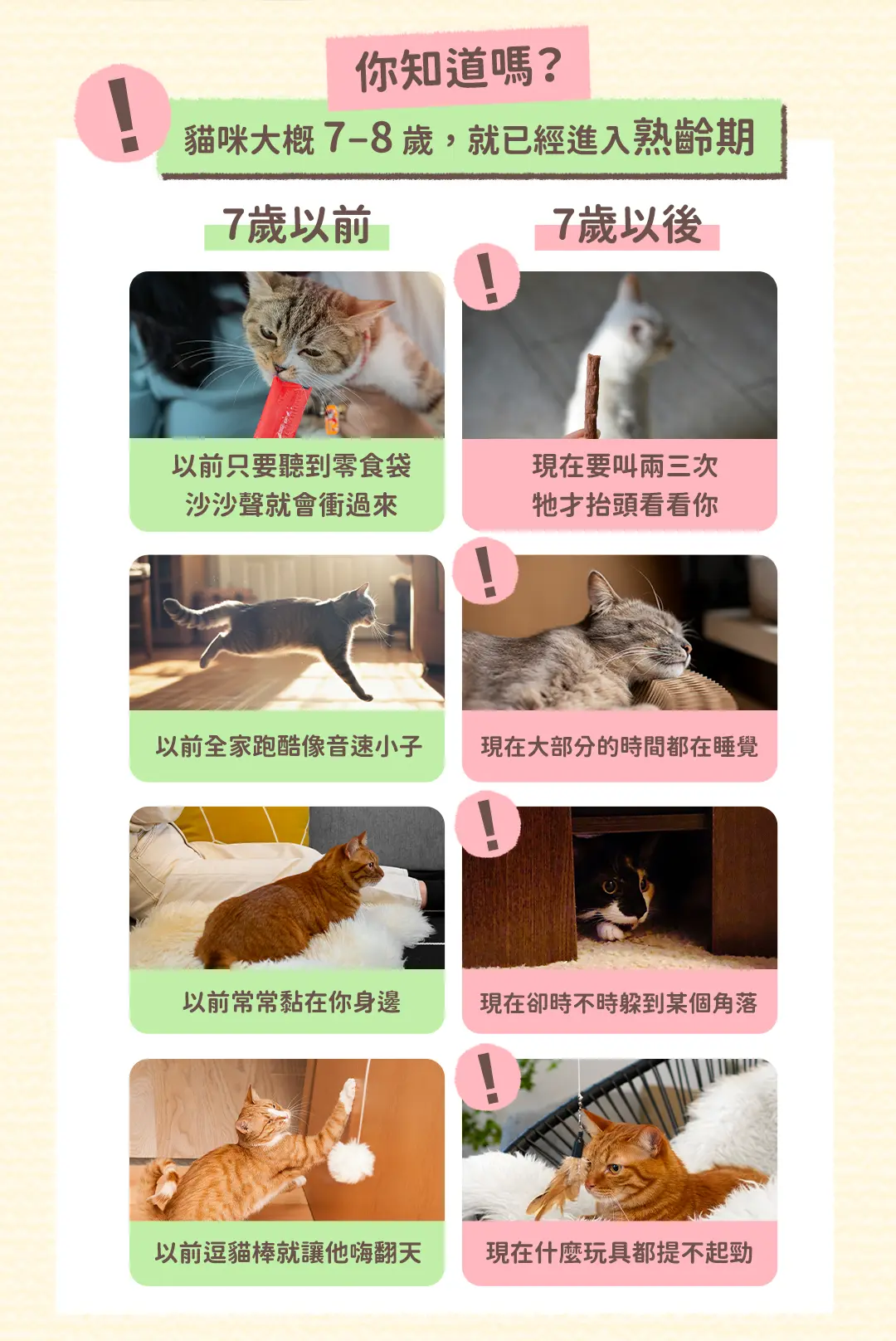 老貓照護白話文-課程頁面_02.jpg 老貓照護白話文-課程頁面_02.jpg