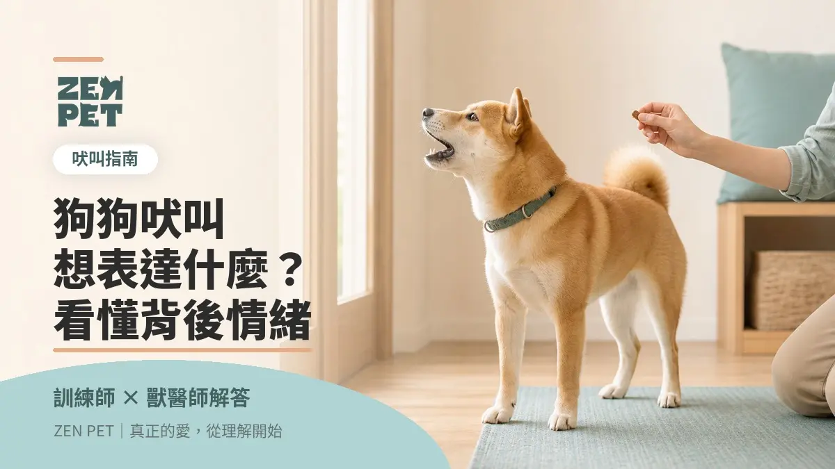 狗狗吠叫是想表達什麼？