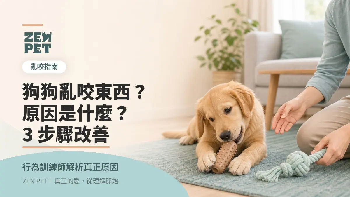 狗狗一直亂咬東西？