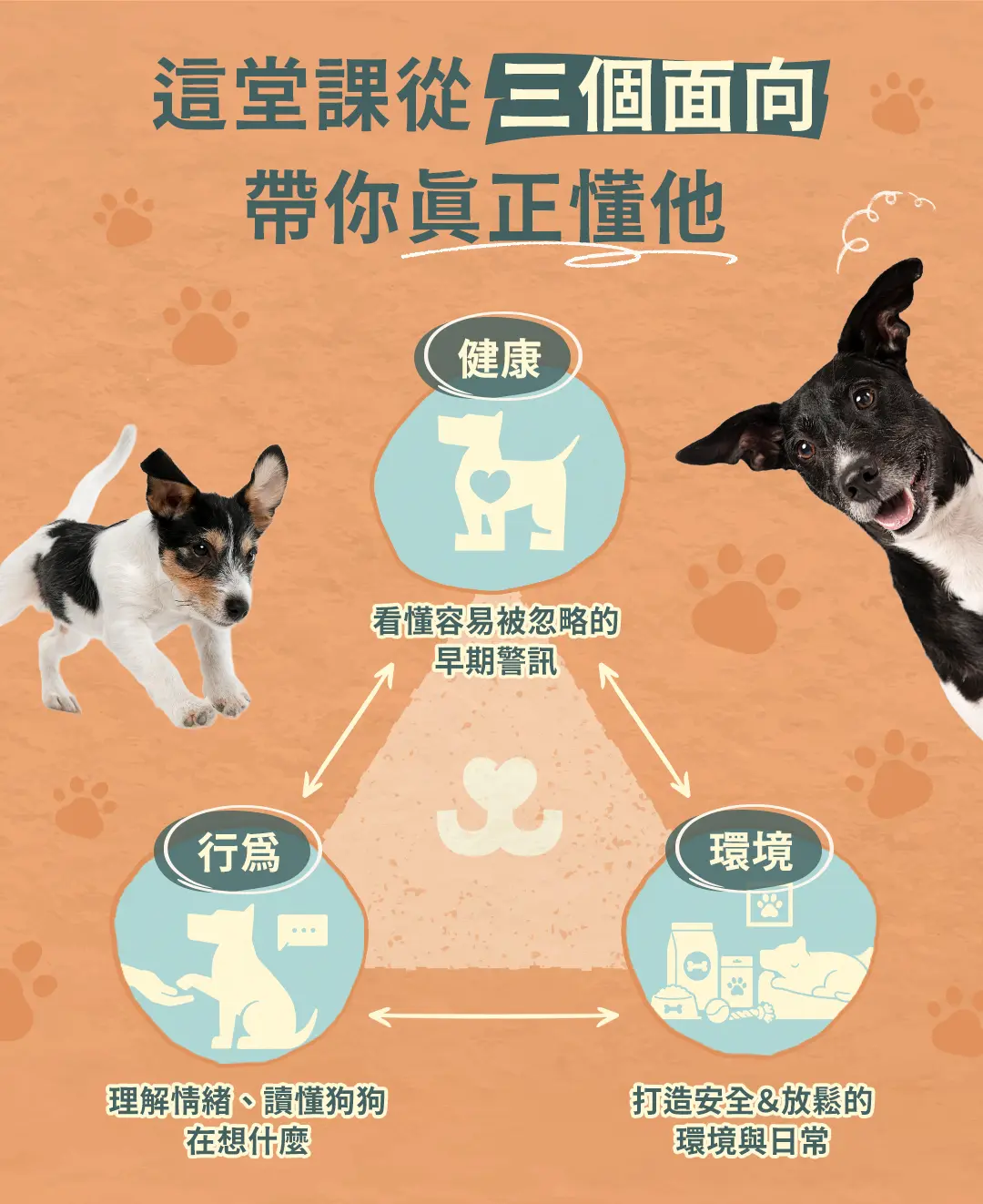 如果狗狗會說話 課程頁面 03