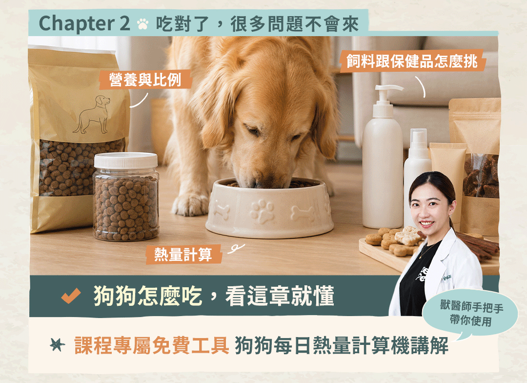 如果狗狗會說話 課程頁面 07