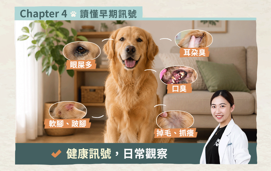 如果狗狗會說話 課程頁面 09
