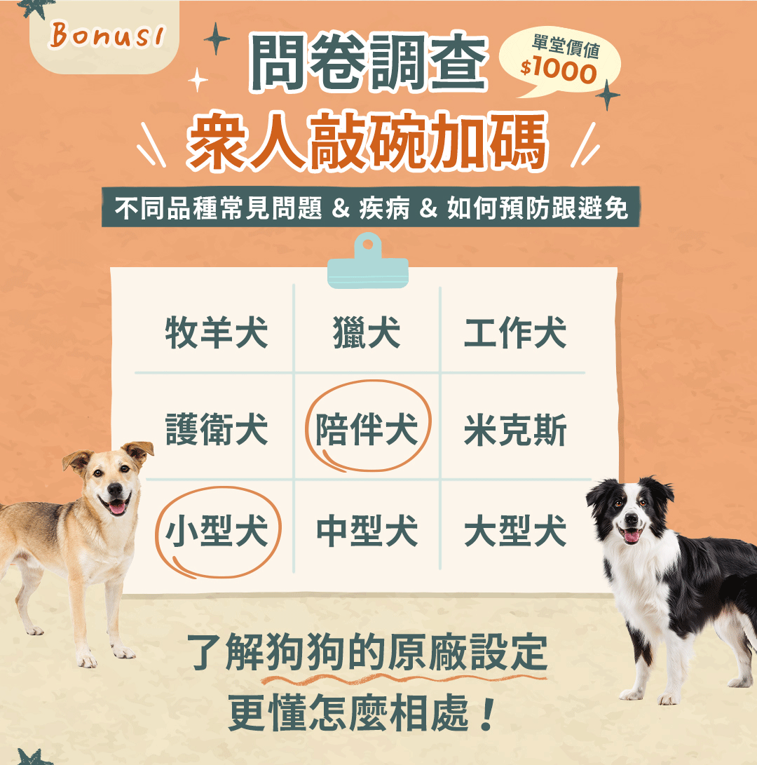 如果狗狗會說話 課程頁面 11 2