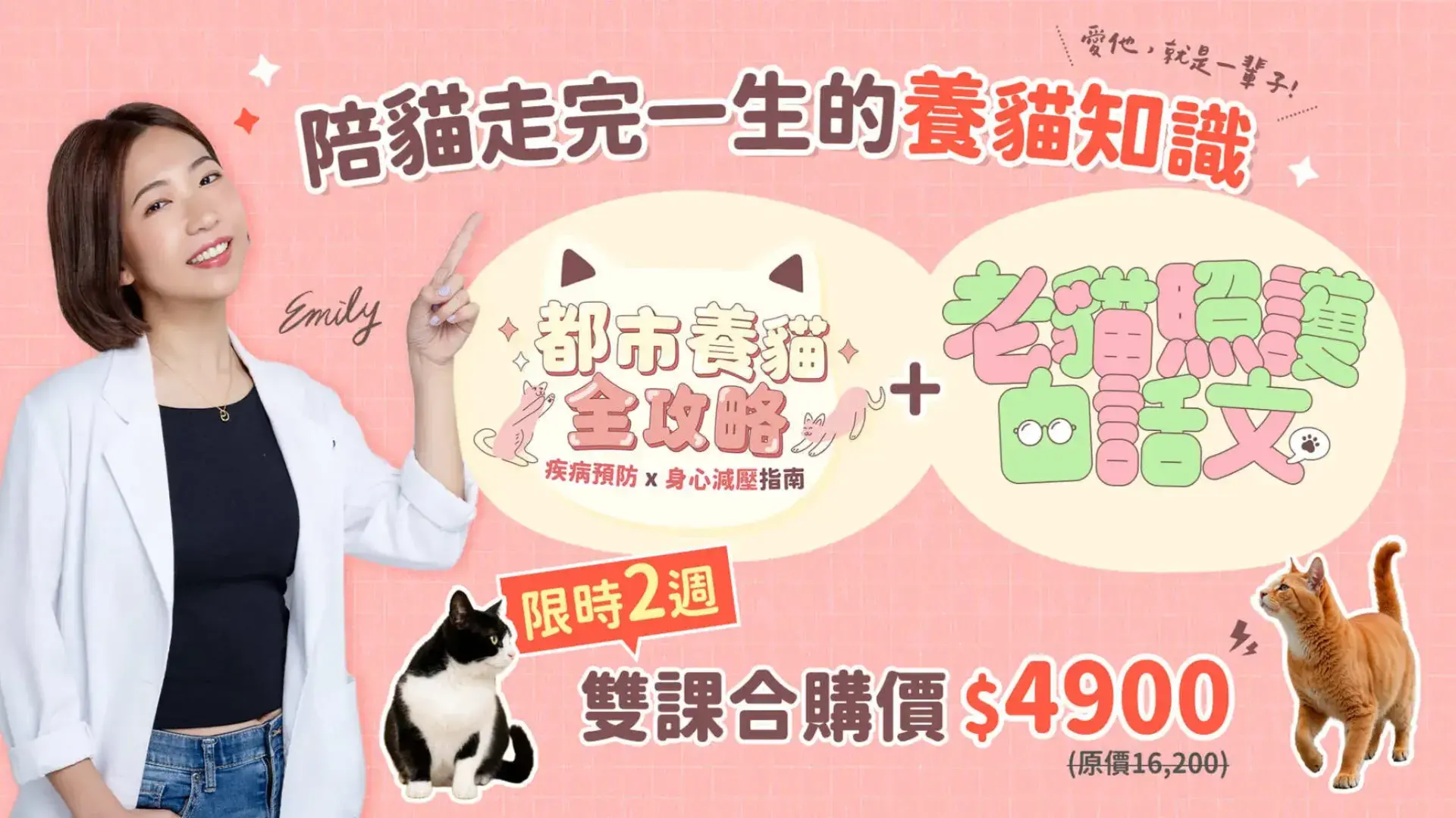陪貓走完一生的套裝課