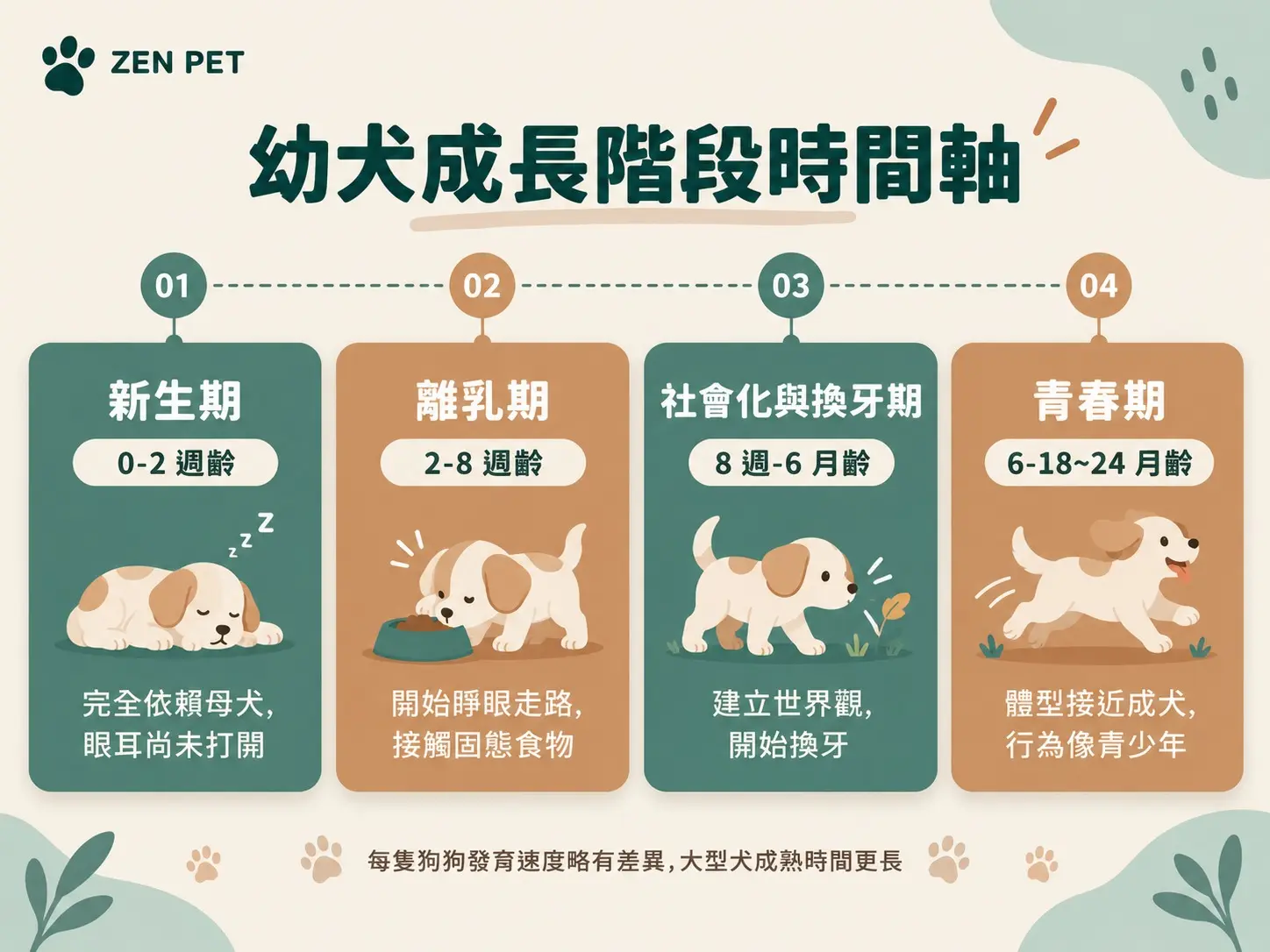 幼犬成長階段
