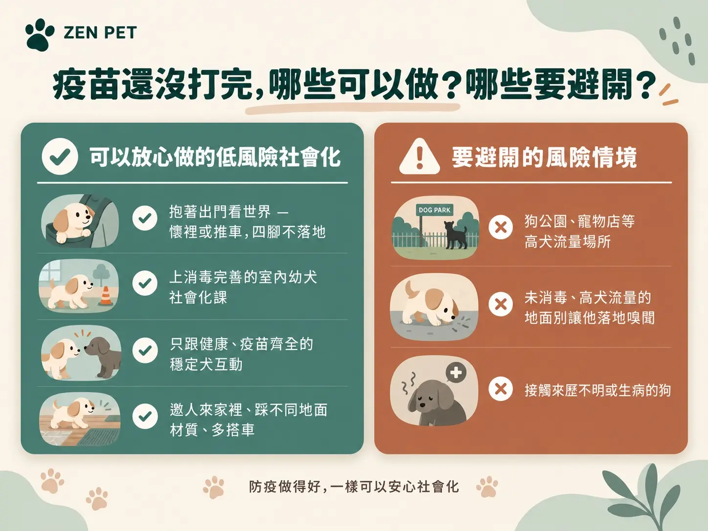 幼犬社會化1